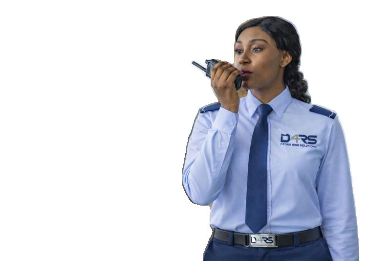 Corporate Security Management